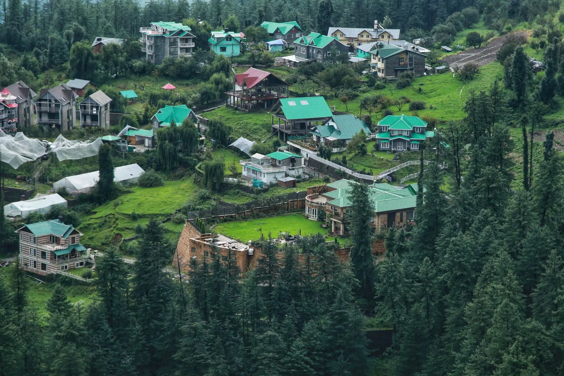 TripzyGo To 12 Things To Do In Shimla Must Do Things In Shimla