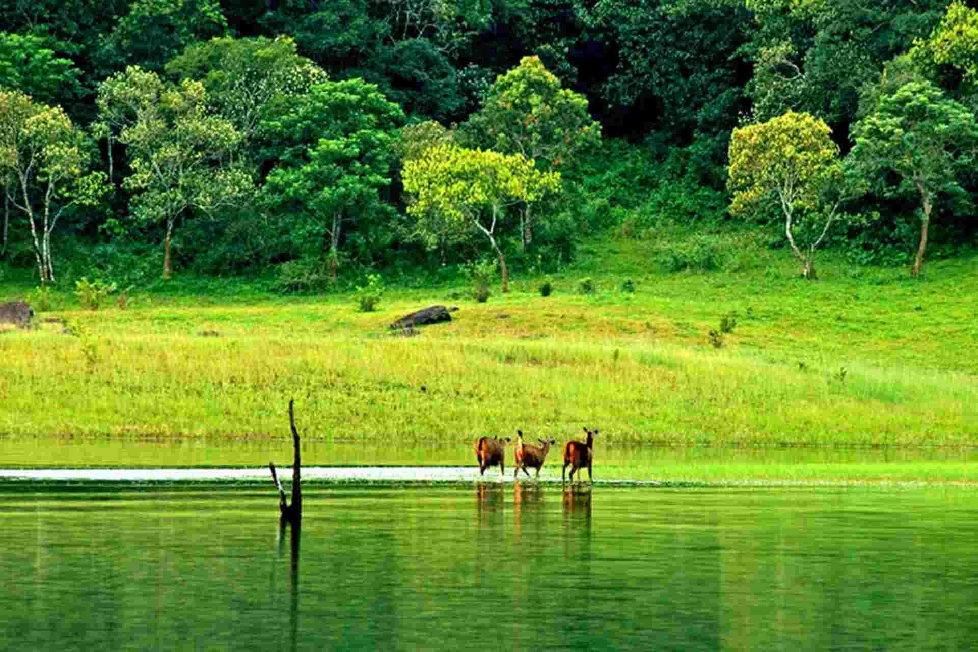 Kerala 