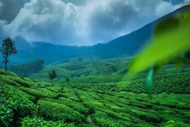 Munnar 