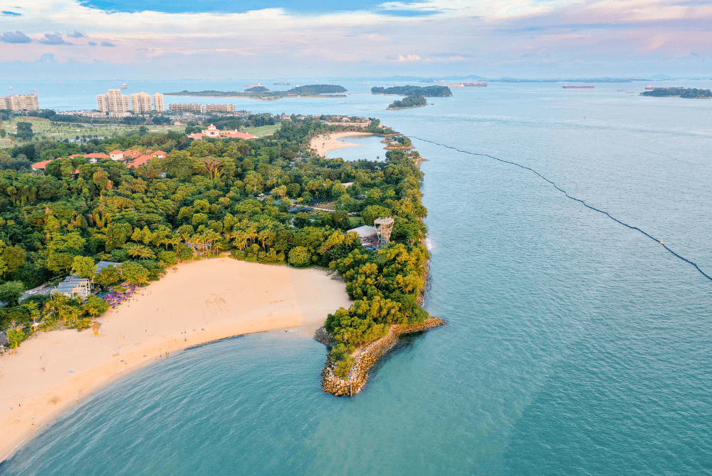 singapore from india