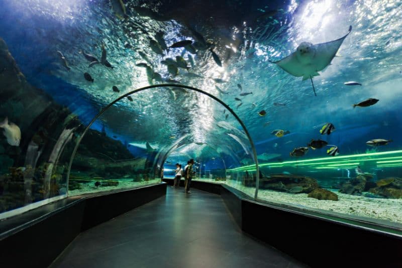 Dubai aquarium