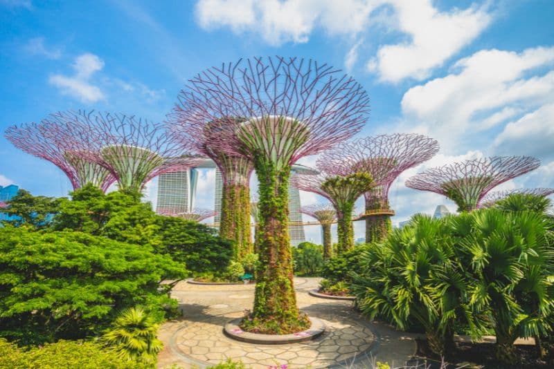 5 Days & 4 Nights Singapore Trip 