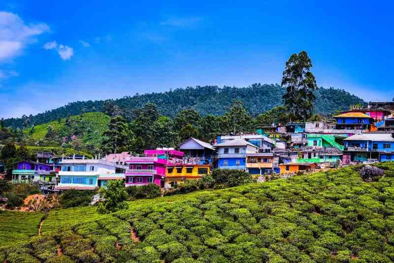 Kerala in Four Days: A Family Dream Vacation