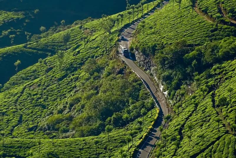 Munnar 