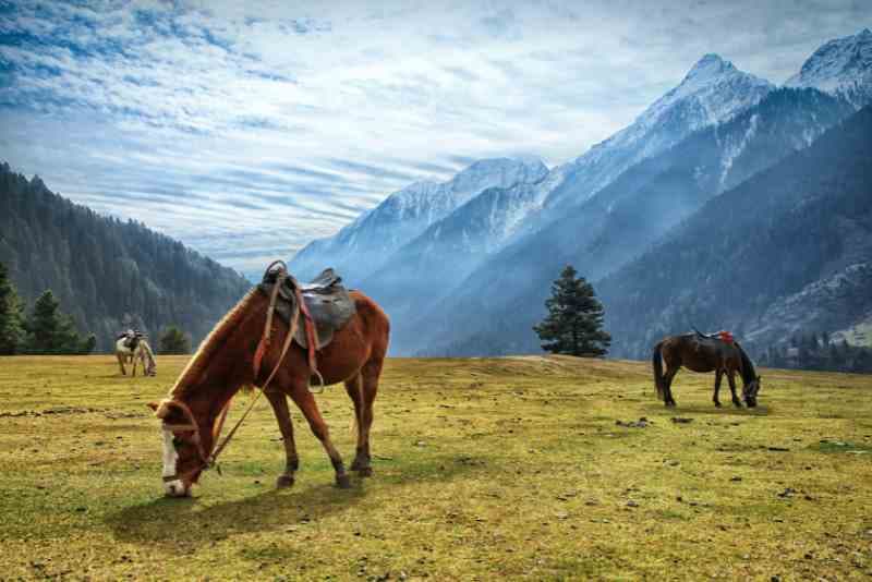 Aru Valley