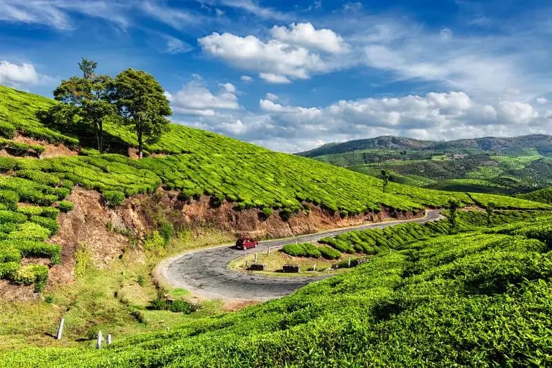 Munnar 