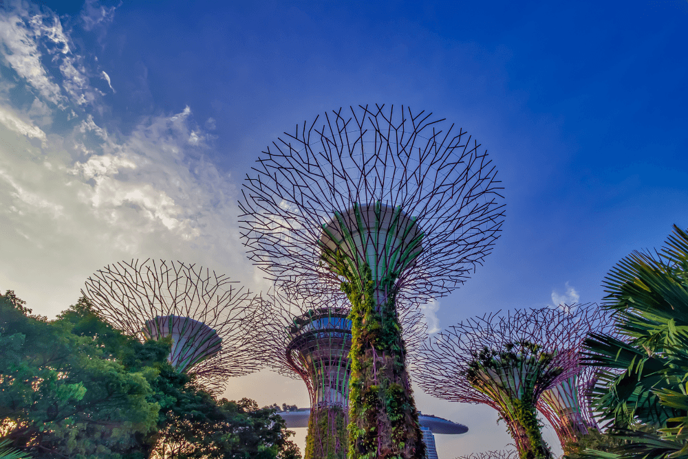 Garden by the Bay