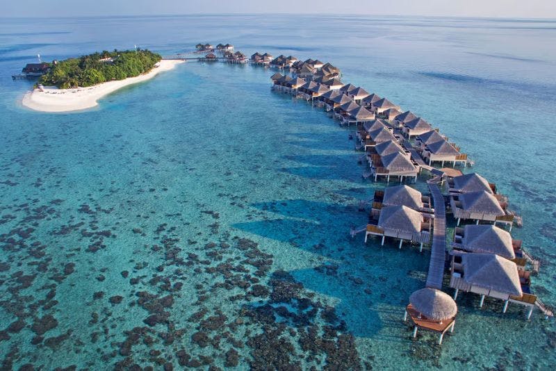 


maldives package

