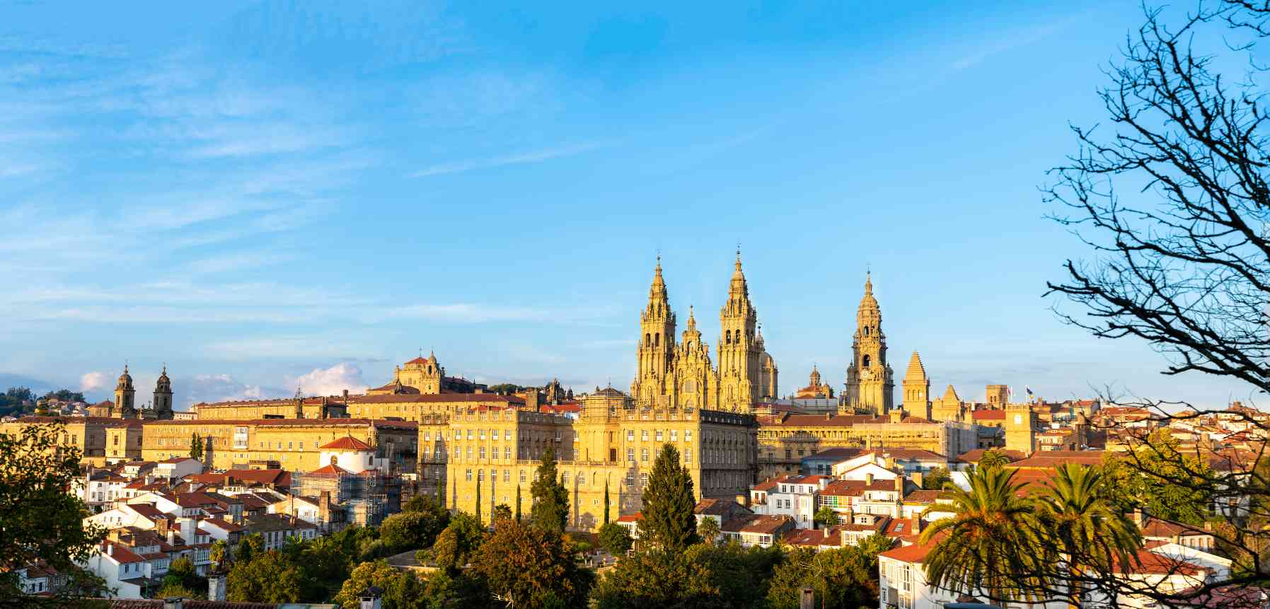 Visit the Cathedral of Santiago de Compostela