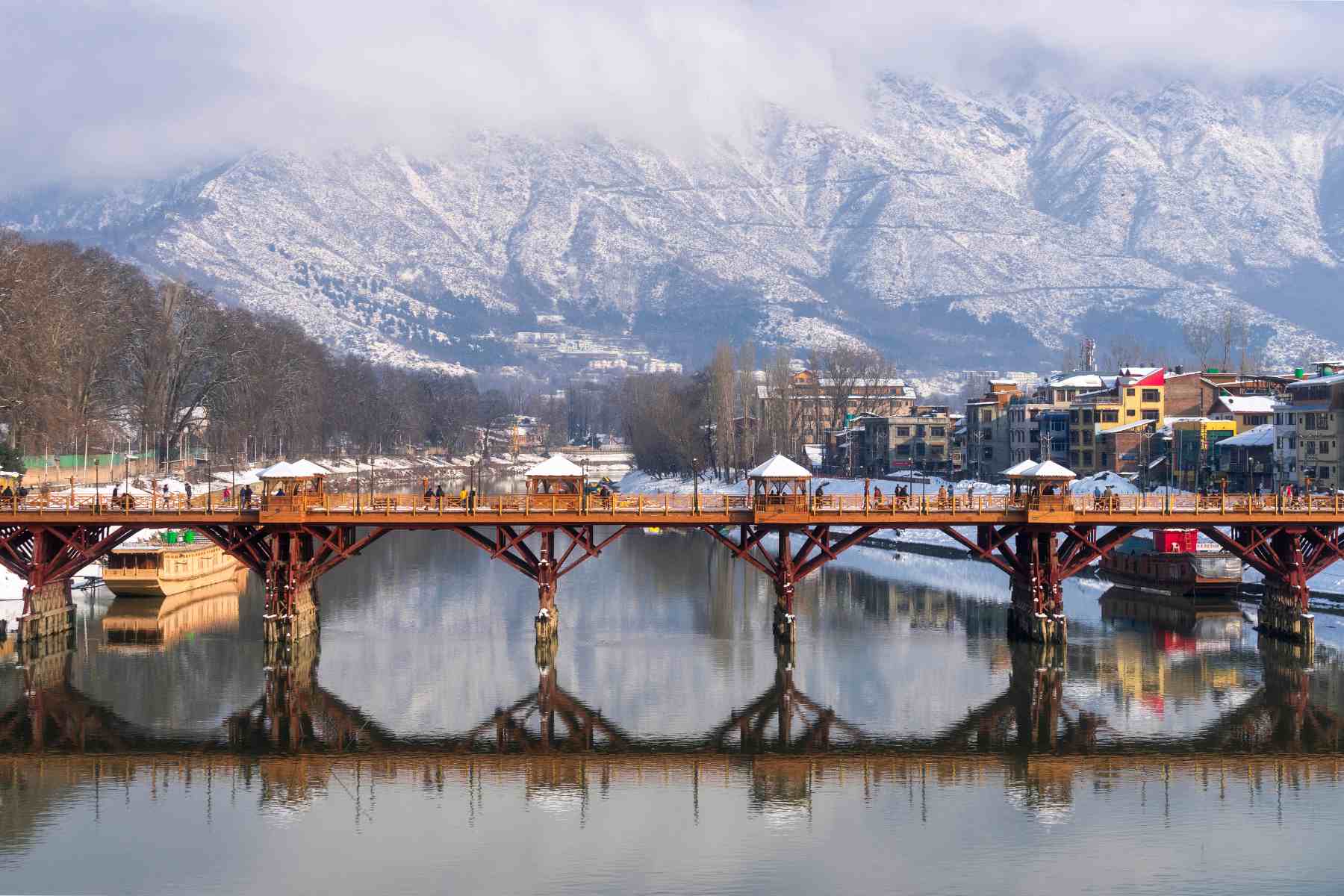 TripzyGo Top 8 Things to Do in Srinagar for a Memorable Vacation